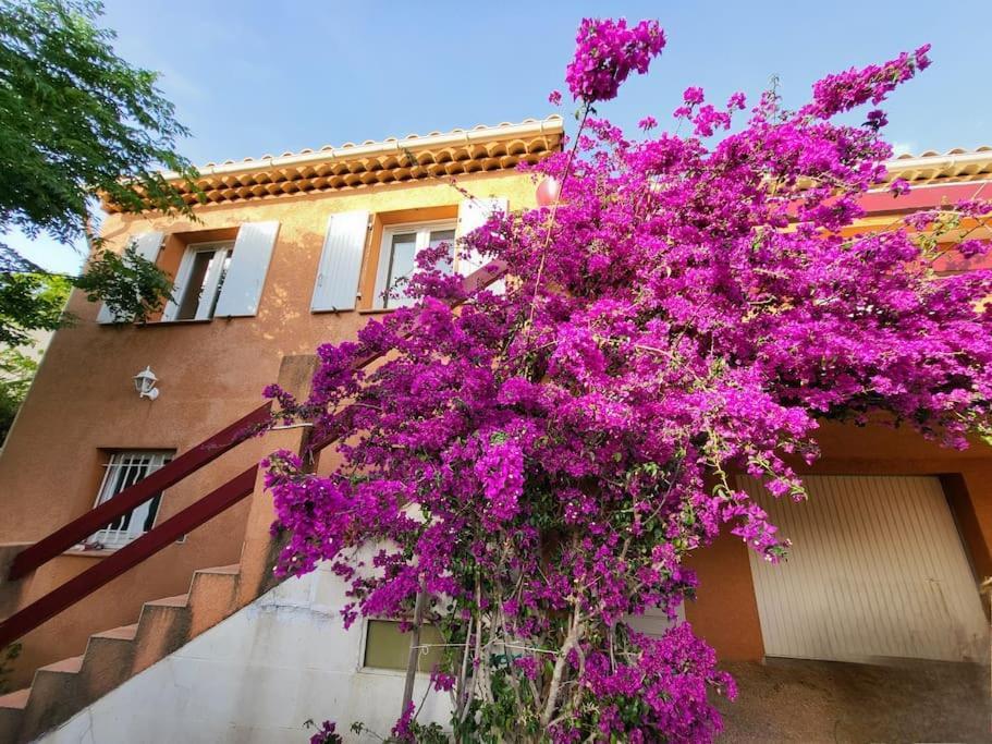 Villa La Garde  Kültér fotó